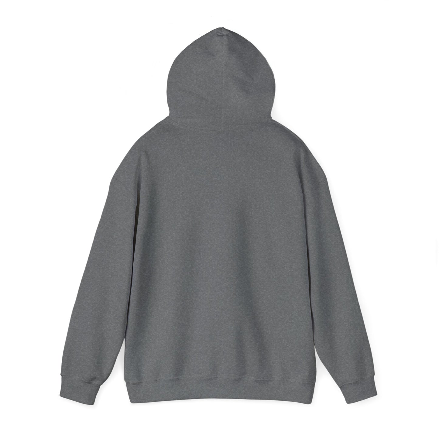 DrugHouse Logo Print Hoodie