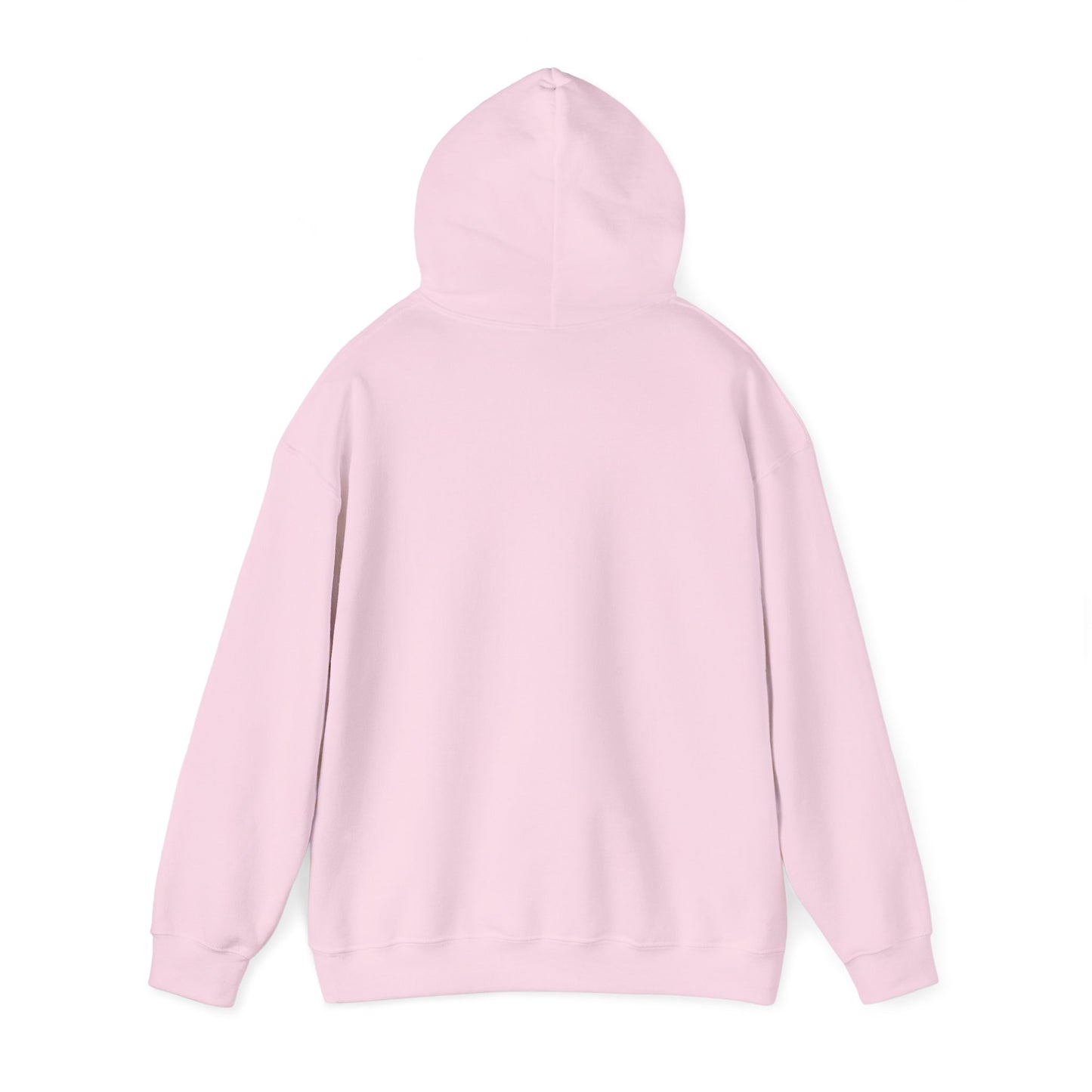 DrugHouse Logo Print Hoodie