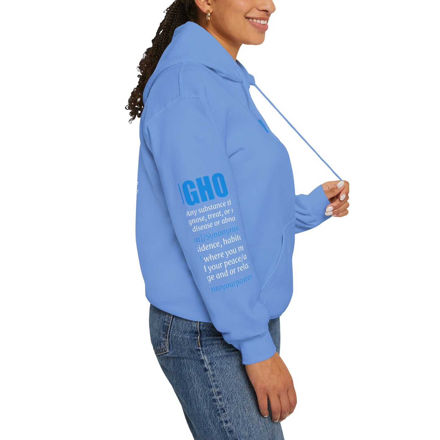 DrugHouse Definition Hoodie